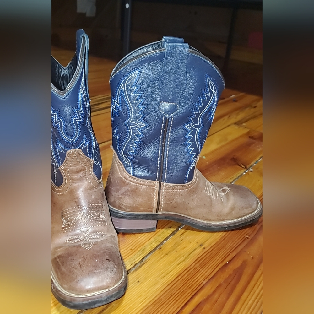 JB Dillon Blue and Brown Cowboy Boots